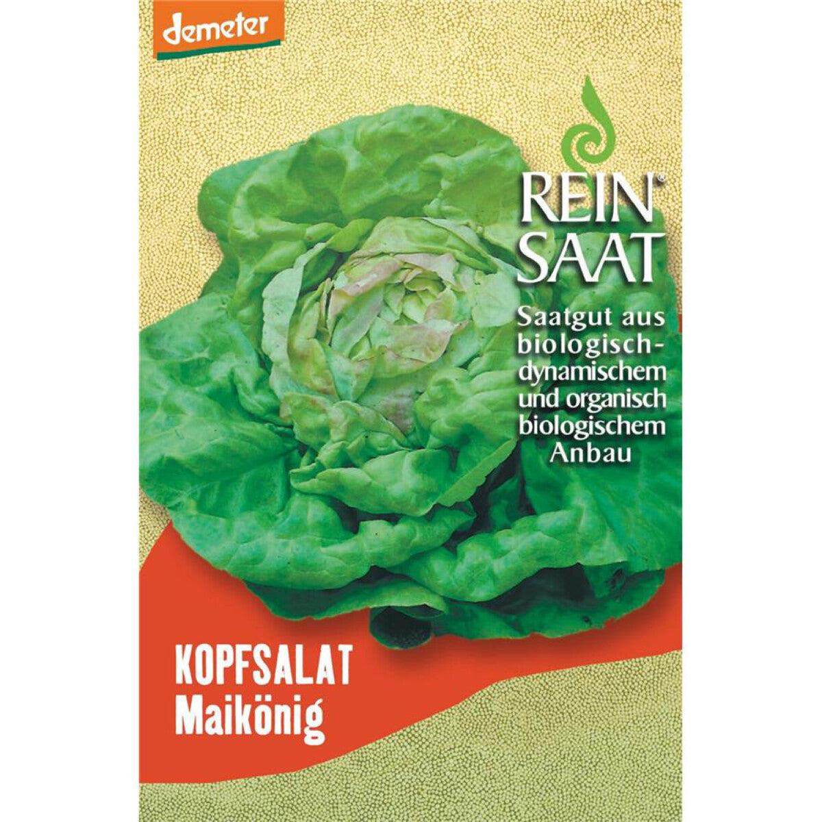 REINSAAT Kopfsalat Maikönig - 1 Btl