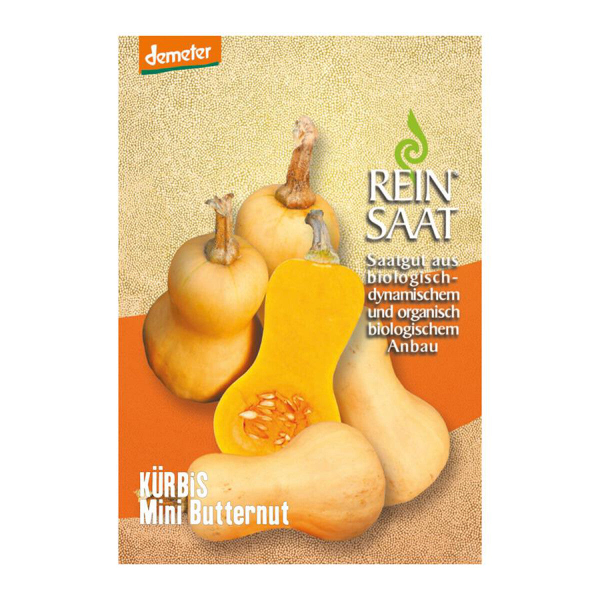 REINSAAT Kürbis Mini Butternut - 1 Btl