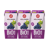 HÖLLINGER- Rote Traubensaft im 200 ml Tetrapack 