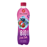 HÖLLINGER- Ice Tea Waldbeere, PET-500 ml