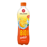 HÖLLINGER- Orangen Sprizz, hohen Orangenfruchanteil, PET-500 ml