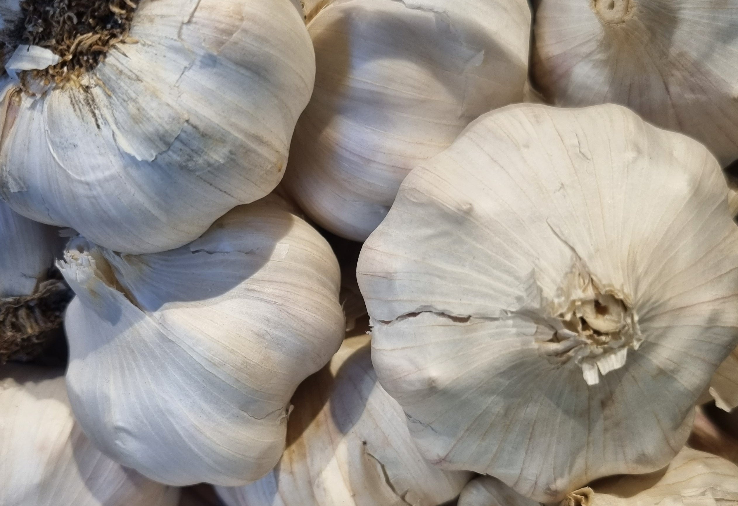 GOLDENITS Knoblauch getrocknet - 1 kg