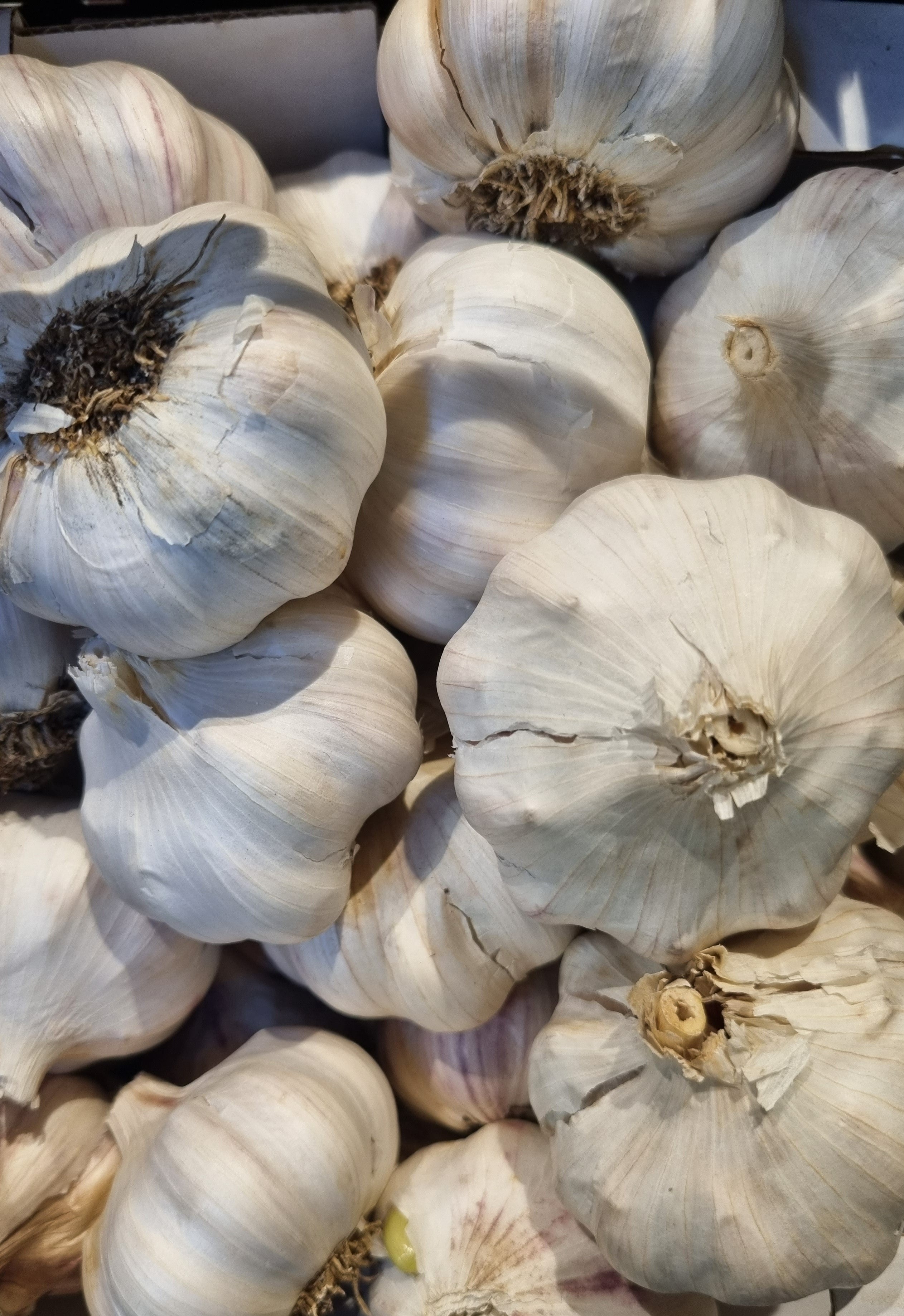 GOLDENITS Knoblauch getrocknet - 1 kg